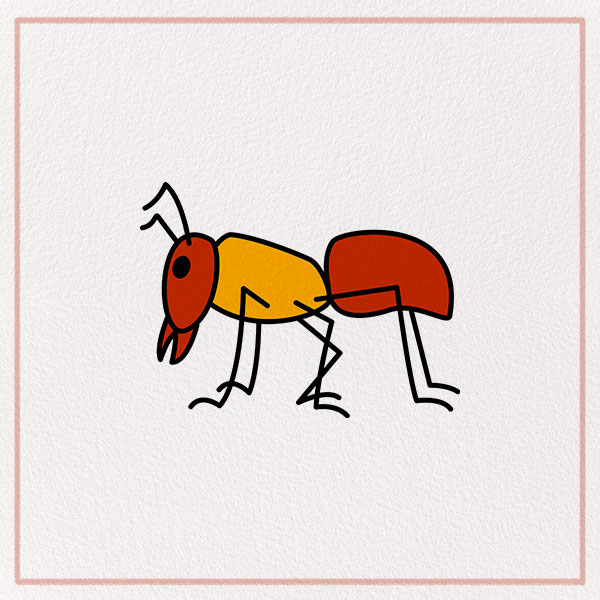 How to Draw an Ant Feature