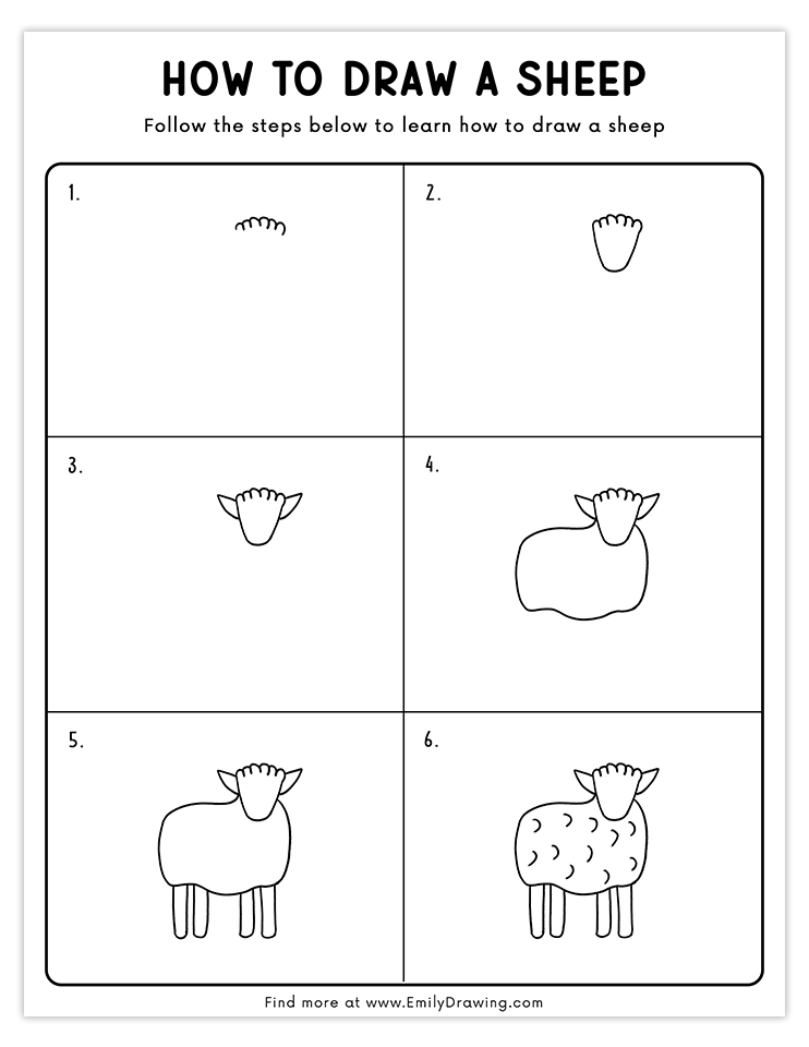 Step-by-step beginner guide to draw a simple sheep with ease, ideal for kids and learners.