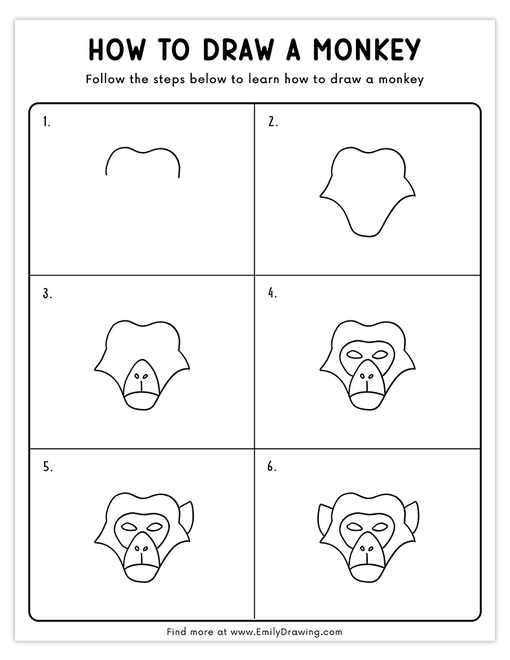 Step-by-step guide to draw a realistic monkey face.