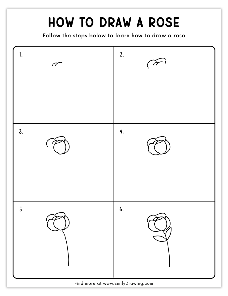 A simple 6-step guide to draw a rose for beginners, from outline to complete flower.