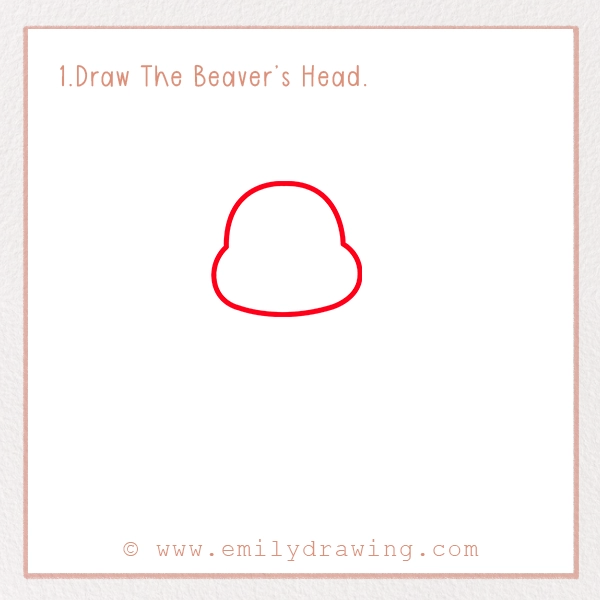 How to Draw a Beaver - Step 1 – Draw The Beaver’s Head