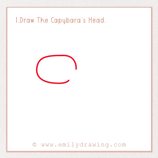 How to Draw a Capybara - Step 1 – Draw The Capybara’s Head