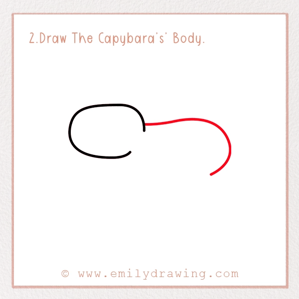 How to Draw a Capybara - Step 2 –Draw The Capybara’s’ Body