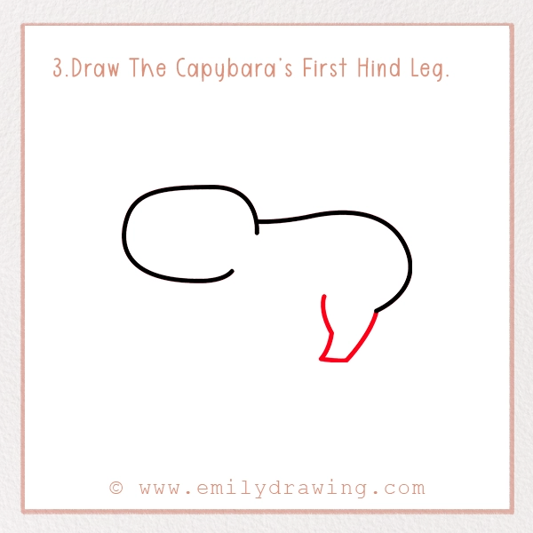 How to Draw a Capybara - Step 3 – Draw The Capybara’s First Hind Leg