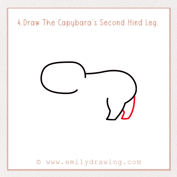 How to Draw a Capybara - Step 4 – Draw The Capybara’s Second Hind Leg