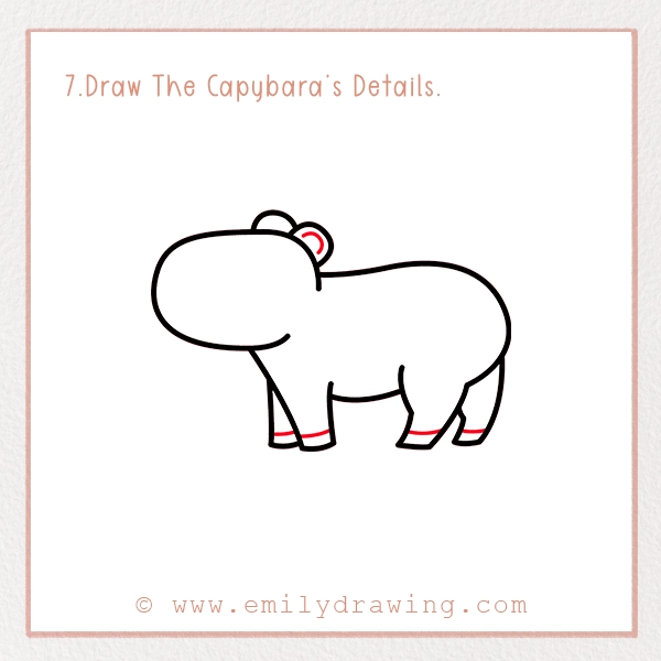 How to Draw a Capybara - Step 7 – Draw The Capybara’s Details