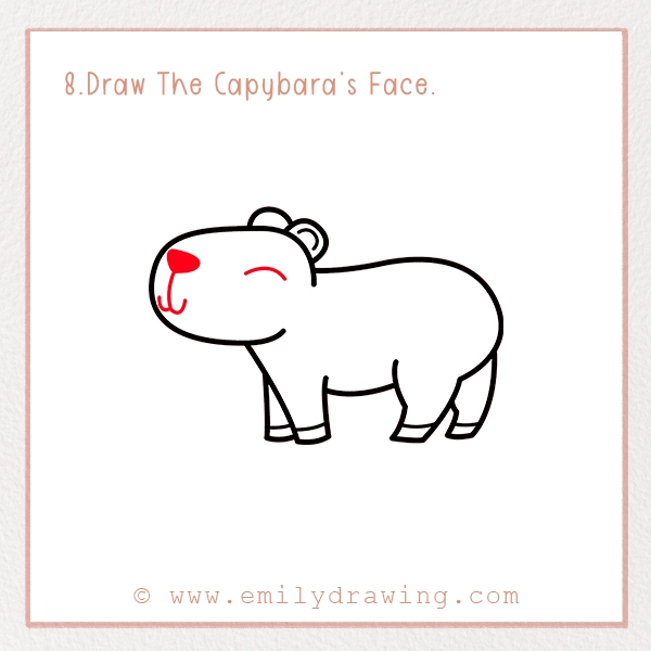 How to Draw a Capybara - Step 8 – Draw The Capybara’s Face