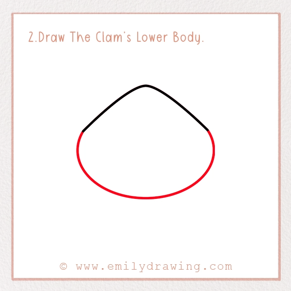 How to Draw a Clam - Step 2 – Draw The Clam’s Lower Body