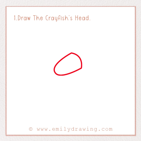 How to Draw a Crayfish - Step 1 – Draw The Crayfish’s Head