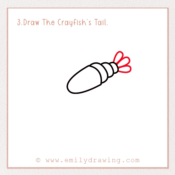 How to Draw a Crayfish - Step 3 – Draw The Crayfish’s Tail