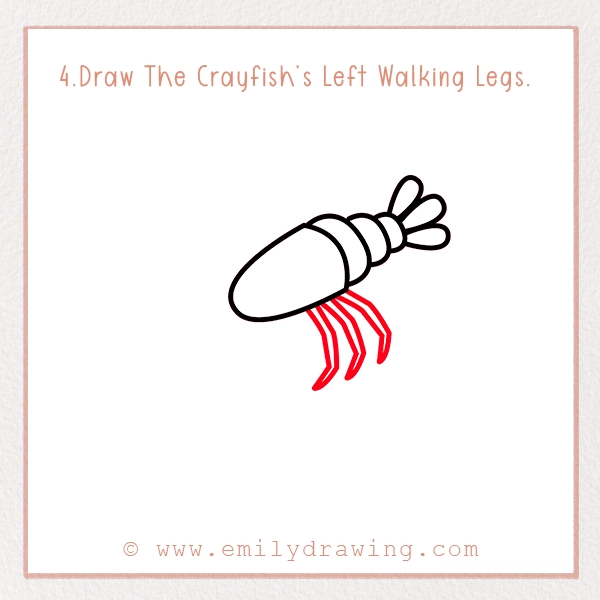 How to Draw a Crayfish - Step 4 – Draw The Crayfish’s Left Walking Legs