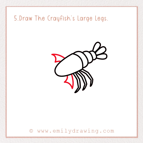 How to Draw a Crayfish - Step 5 – Draw The Crayfish’s Large Legs