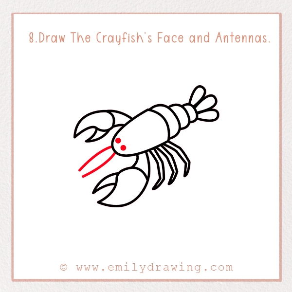 How to Draw a Crayfish - Step 8 – Draw The Crayfish’s Face and Antennas