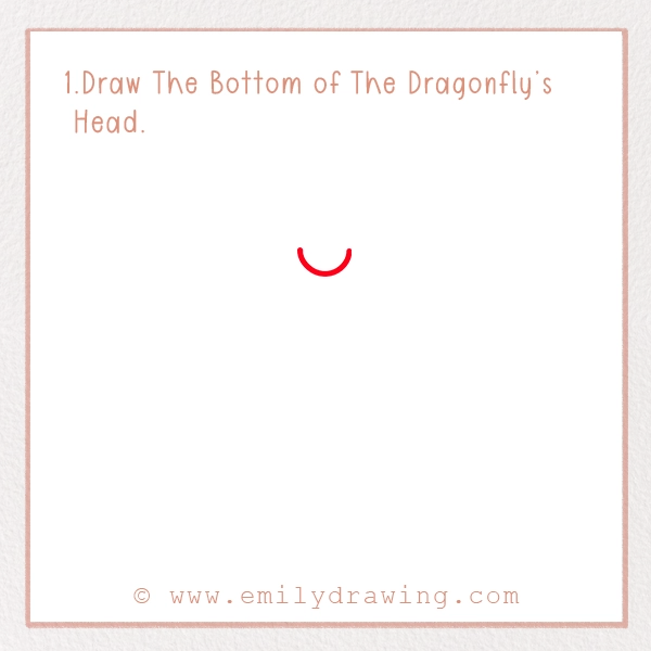 How to Draw a Dragonfly - Step 1 – Draw The Bottom of The Dragonfly’s Head