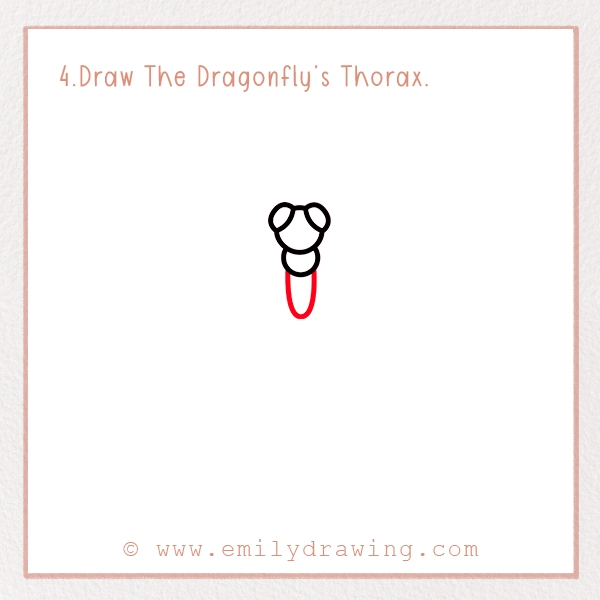 How to Draw a Dragonfly - Step 4 – Draw The Dragonfly’s Thorax