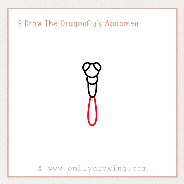 How to Draw a Dragonfly - Step 5 – Draw The Dragonfly’s Abdomen