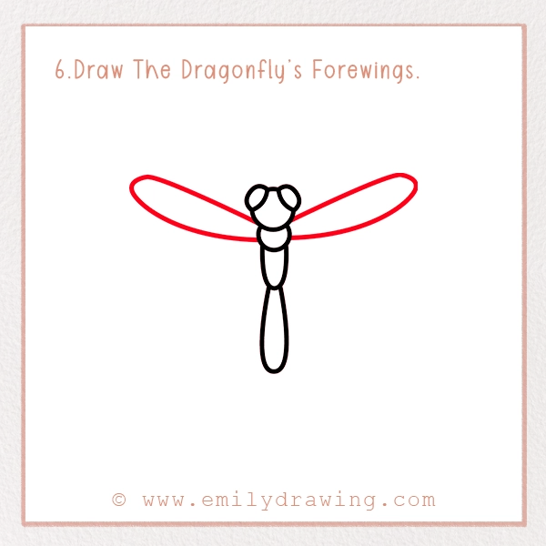 How to Draw a Dragonfly - Step 6 – Draw The Dragonfly’s Forewings