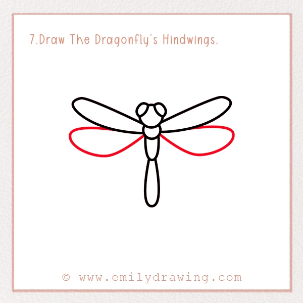 How to Draw a Dragonfly - Step 7 – Draw The Dragonfly’s Hindwings