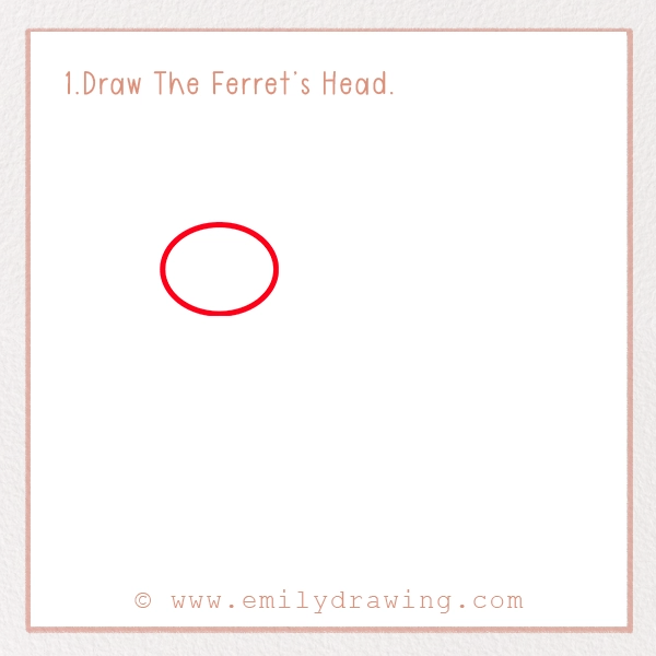 How to Draw a Ferret - Step 1 – Draw The Ferret’s Head