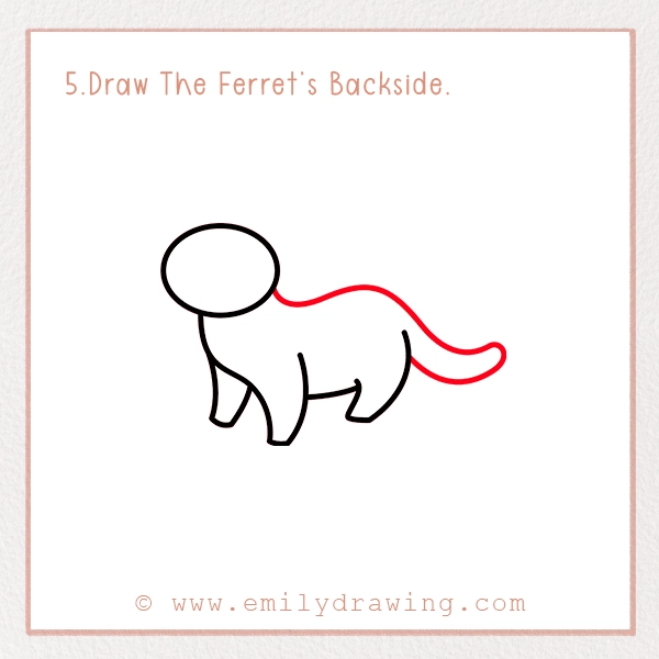 How to Draw a Ferret - Step 5 – Draw The Ferret’s Backside