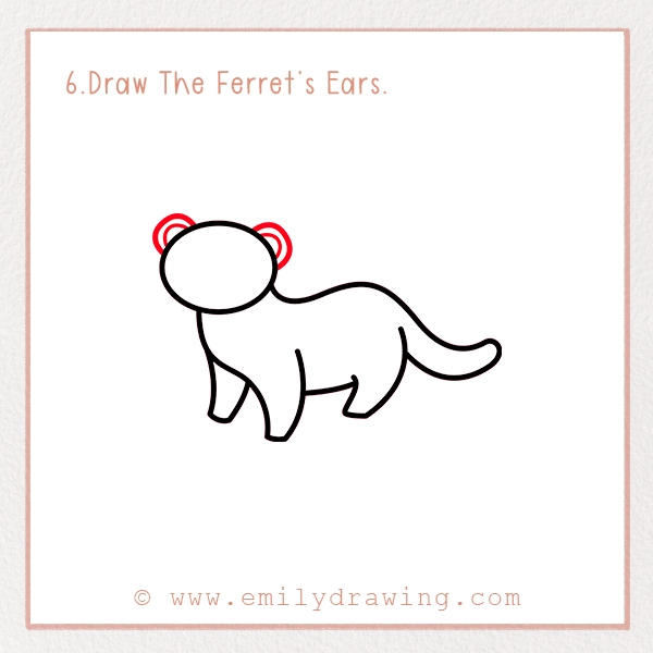 How to Draw a Ferret - Step 6 – Draw The Ferret’s Ears