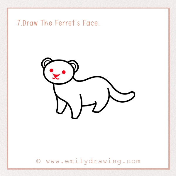 How to Draw a Ferret - Step 7 – Draw The Ferret’s Face