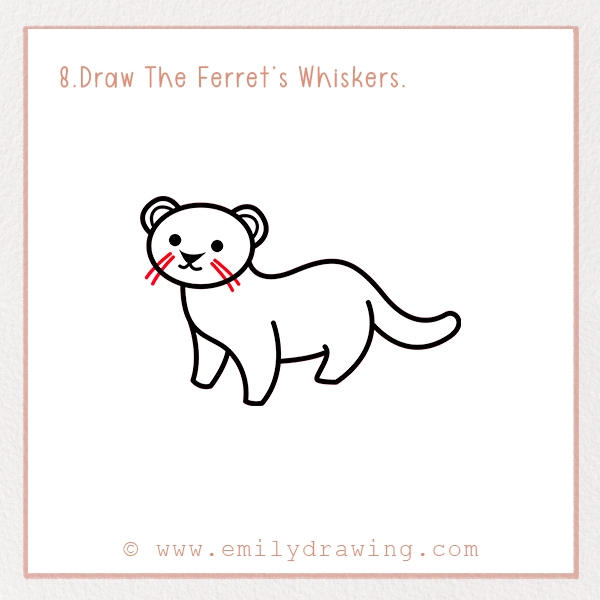 How to Draw a Ferret - Step 8 – Draw The Ferret’s Whiskers