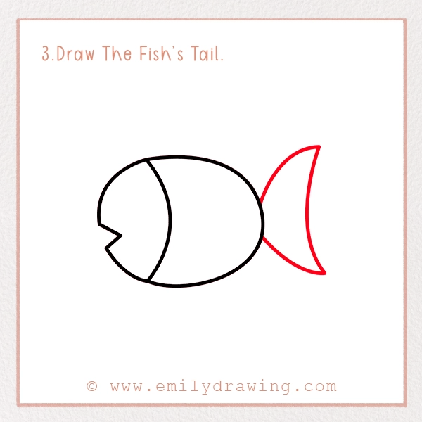 How to Draw a Fish - Step 3 – Draw The Fish’s Tail