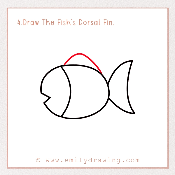 How to Draw a Fish - Step 4 – Draw The Fish’s Dorsal Fin