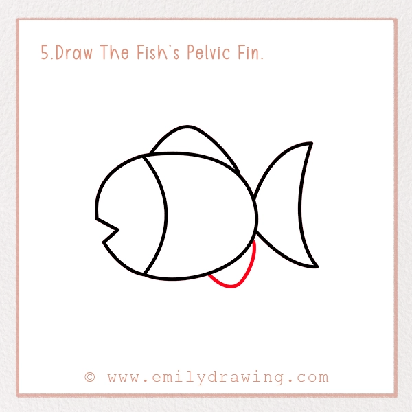 How to Draw a Fish - Step 5 – Draw The Fish’s Pelvic Fin