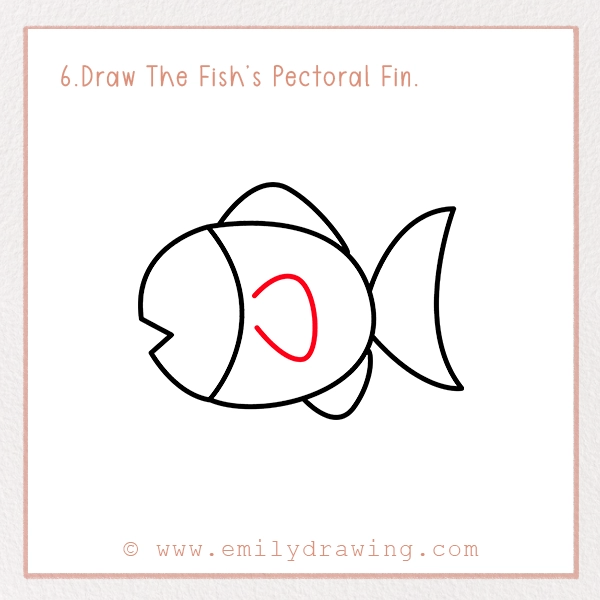 How to Draw a Fish - Step 6 – Draw The Fish’s Pectoral Fin