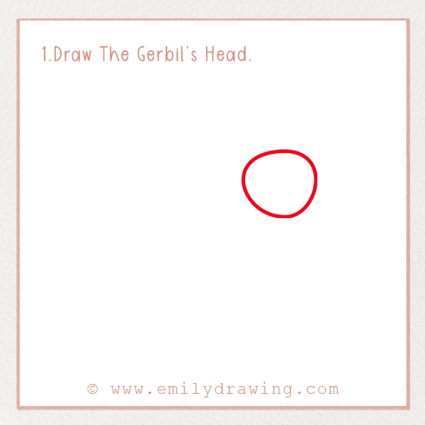 How to Draw a Gerbil - Step 1 – Draw The Gerbil’s Head