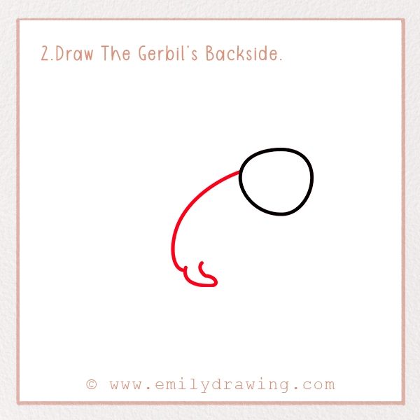 How to Draw a Gerbil - Step 2 – Draw The Gerbil’s Backside