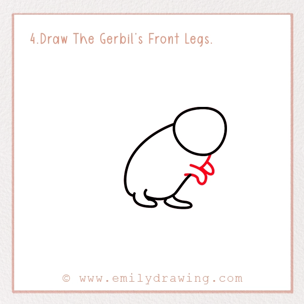 How to Draw a Gerbil - Step 4 – Draw The Gerbil’s Front Legs