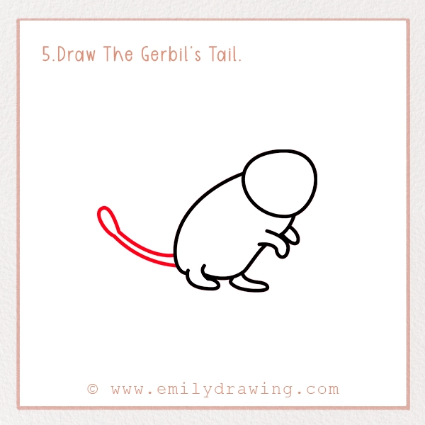 How to Draw a Gerbil - Step 5 – Draw The Gerbil’s Tail