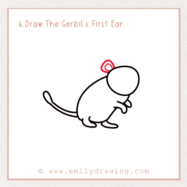 How to Draw a Gerbil - Step 6 – Draw The Gerbil’s First Ear