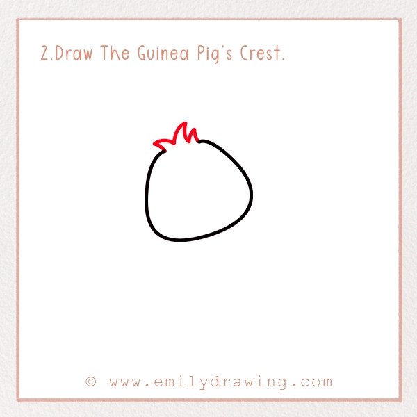 How to Draw a Guinea Pig - Step 2 – Draw The Guinea Pig’s Crest