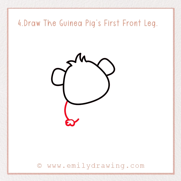 How to Draw a Guinea Pig - Step 4 – Draw The Guinea Pig’s First Front Leg