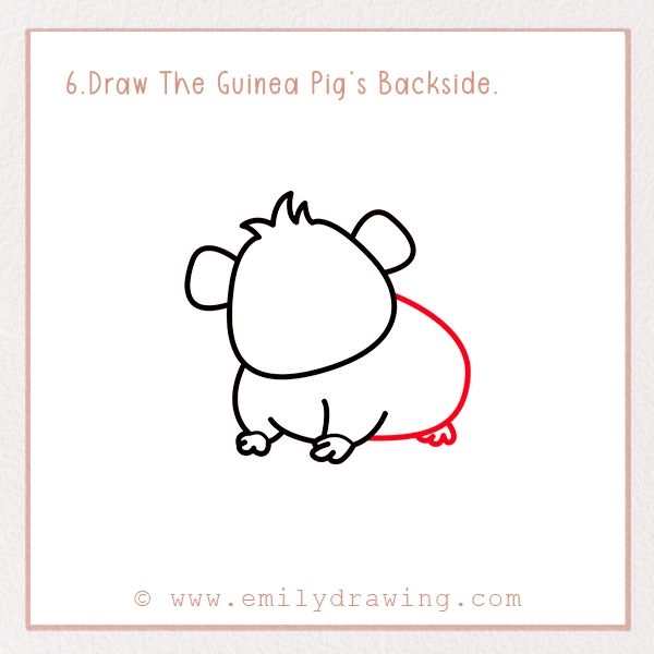 How to Draw a Guinea Pig - Step 6 – Draw The Guinea Pig’s Backside