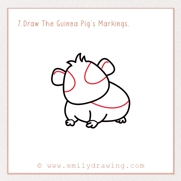 How to Draw a Guinea Pig - Step 7 – Draw The Guinea Pig’s Markings