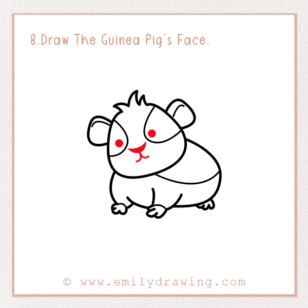 How to Draw a Guinea Pig - Step 8 – Draw The Guinea Pig’s Face