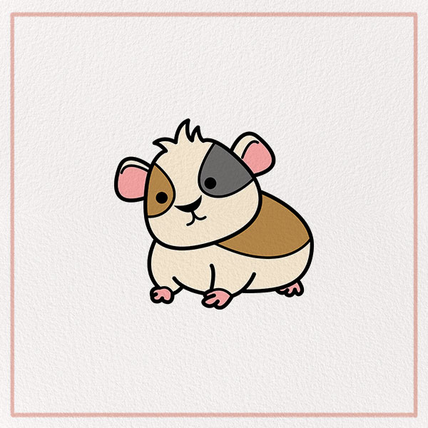 How to Draw a Guinea Pig Feature