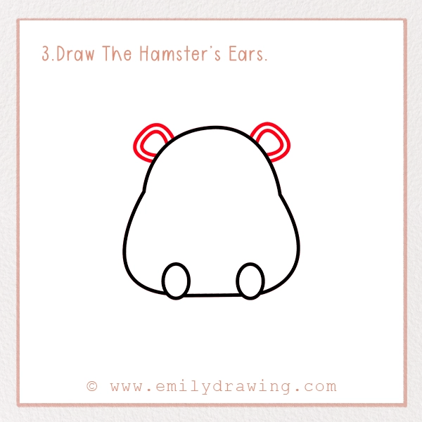 How to Draw a Hamster - Step 3 – Draw The Hamster’s Ears