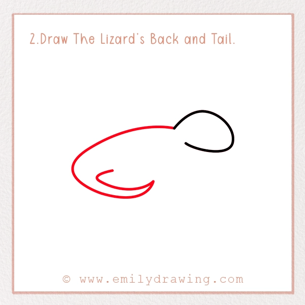 How to Draw a Lizard - Step 2 – Draw The Lizard’s Back and Tail