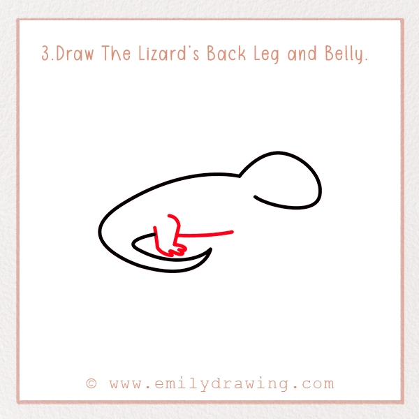 How to Draw a Lizard - Step 3 – Draw The Lizard’s Back Leg and Belly