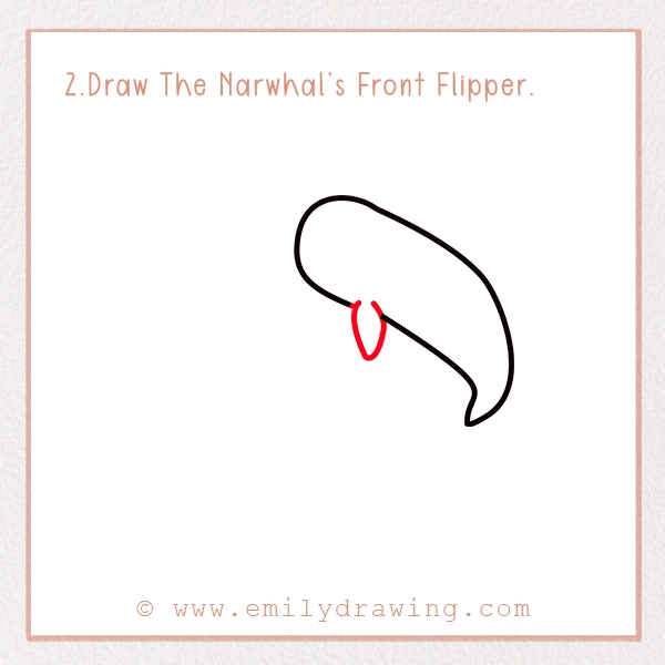 How to Draw a Narwhal - Step 2 – Draw The Narwhal’s Front Flipper.