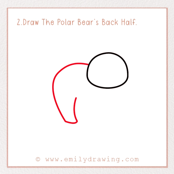 How to Draw a Polar Bear - Step 2 – Draw The Polar Bear’s Back Half