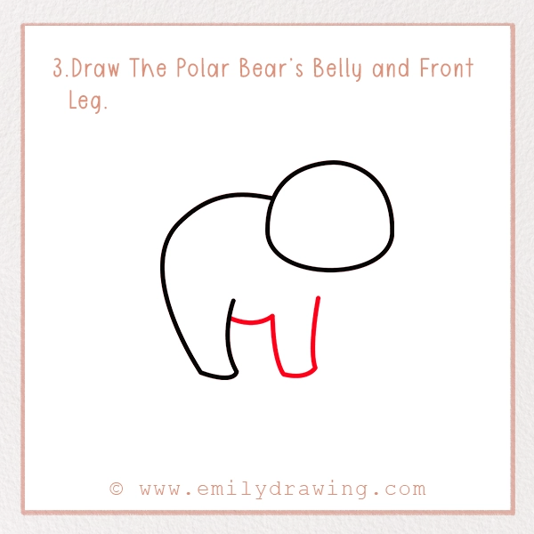 How to Draw a Polar Bear - Step 3 – Draw The Polar Bear’s Belly and Front Leg