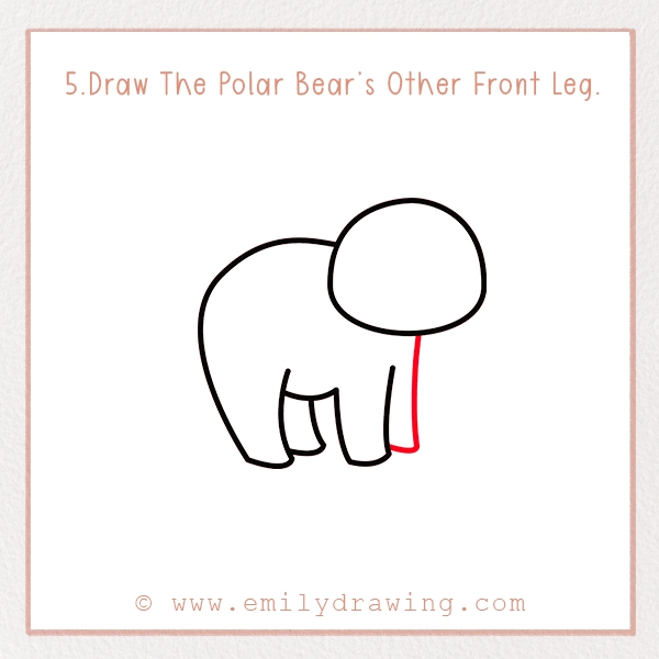 How to Draw a Polar Bear - Step 5 – Draw The Polar Bear’s Other Front Leg