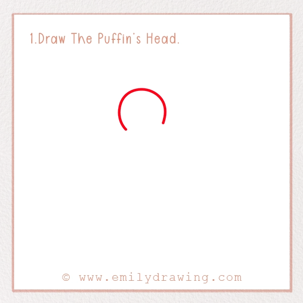 How to Draw a Puffin - Step 1 – Draw The Puffin’s Head